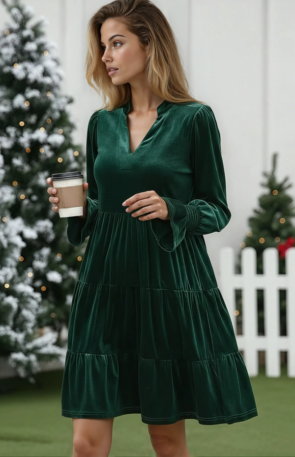 Elegant Velvet Long Sleeve Solid Color Dress