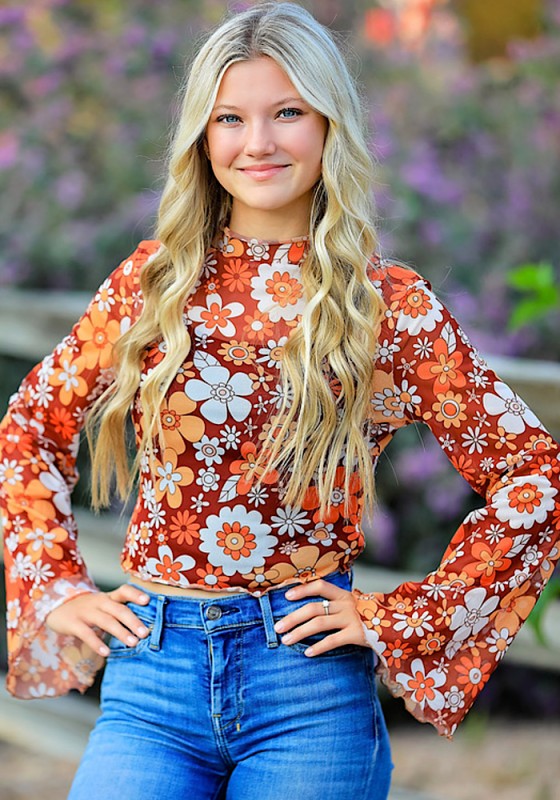 Mesh cropped printed top