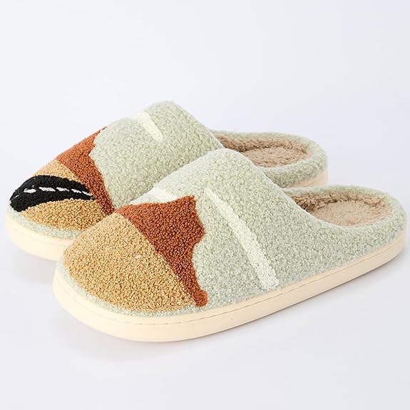 Desert Highway Slippers